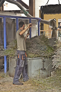 The Distillery Bleu Provence, where the tradition of the distillation of lavender and aromatic plants has continued since 1939.